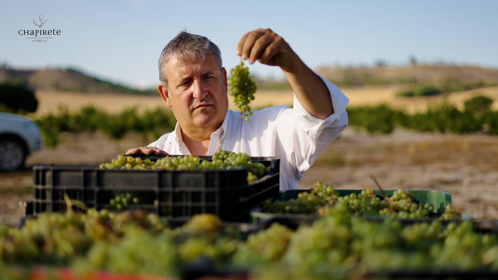 Foto van Alfonso, domein Vinos Murillo